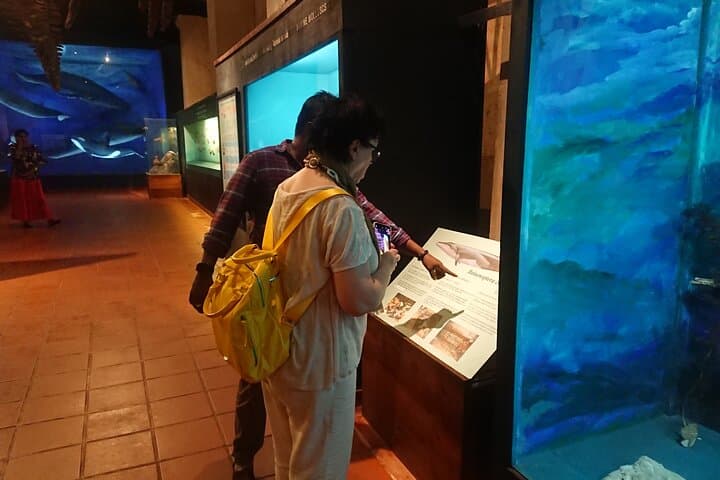 Galle Fort Private Discovery Tour: 7-Hour Cultural & Coastal Walk photo 4