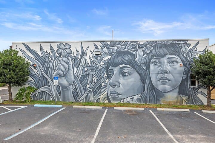 St. Pete SHINE Mural Trolley Tour — St. Petersburg Street Art Experience photo 4