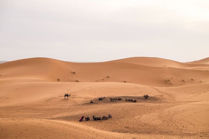 Fez to Sahara: 4-Day Medinas, Dunes & Ait Ben Haddou Overland Tour photo 5