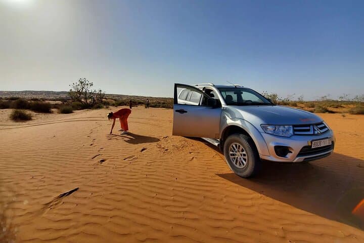 Sahara Day Adventure from Agadir: Dunes, Berber Lunch & Massa River photo 5