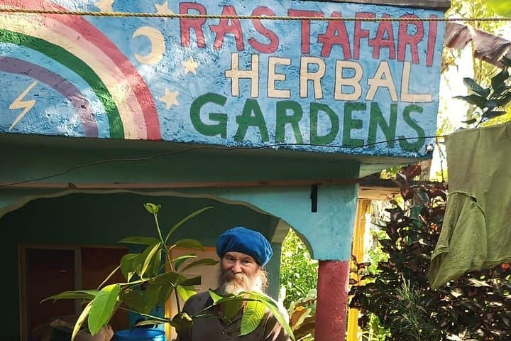 NatureCures Tropical Food Forest 12-Day Jamaica Workshop & Cultural Tour photo 2