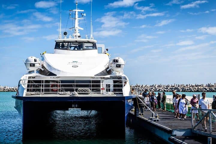 Robben Island Tour: Ferry, Museum & Nelson Mandela Cell from V&A Waterfront