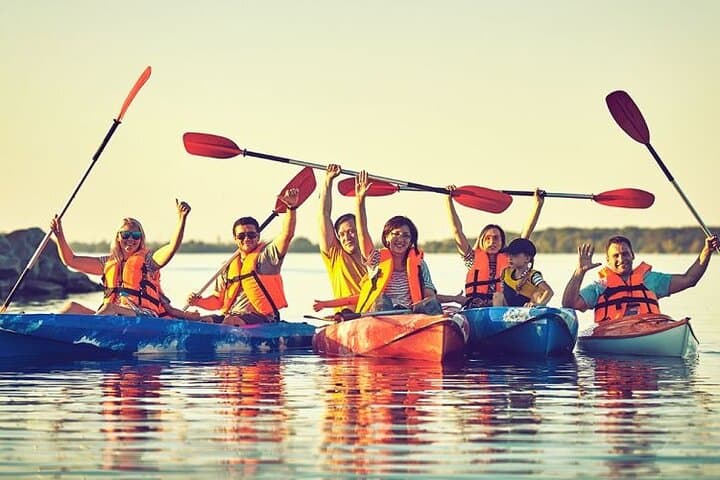 Canoeing Sedgefield Lagoon at Oysters Edge — Garden Route Paddle & Birdlife