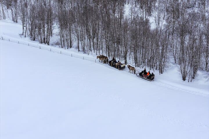 Alta Sleigh Ride: Horse-Drawn Farm Experience & Sami Lavvo Snacks photo 3