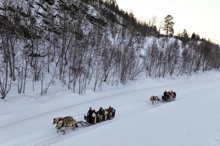 Alta Sleigh Ride & Sami Lavvo Tapas at Omdal Farm photo 2