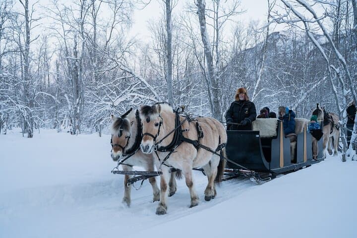 Alta Sleigh Ride & Sami Lavvo Tapas at Omdal Farm photo 4