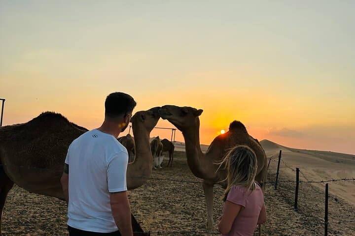 Abu Dhabi Evening Desert Safari: Dune Bashing, Quad Bikes, BBQ & Cultural Shows photo 2