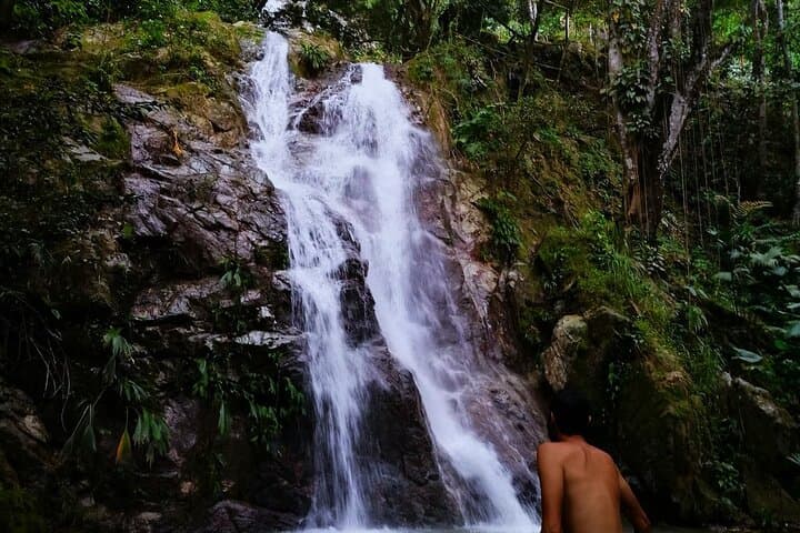 Paso del Mango: Five Waterfalls Hike in Sierra Nevada from Santa Marta