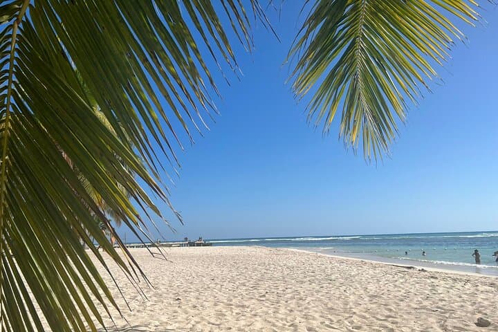 Saona Island & Chavón River Full-Day Tour — Natural Pools, Beach & Open Bar photo 5