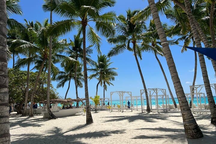 Saona Island & Chavón River Full-Day Tour — Natural Pools, Beach & Open Bar