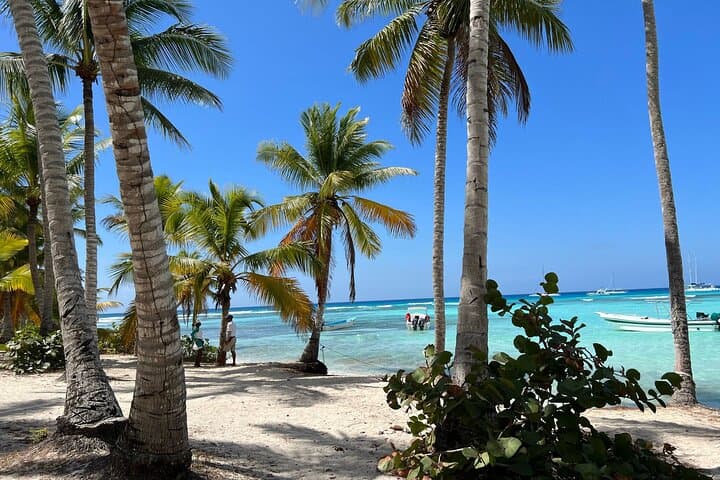 Saona Island & Chavón River Full-Day Tour — Natural Pools, Beach & Open Bar photo 3