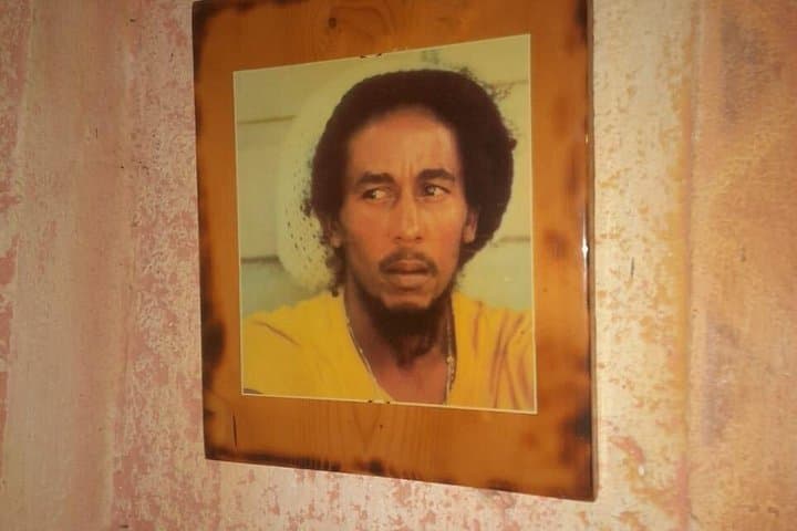 Bob Marley Nine Mile and Dunn's River Falls Private Tour from Montego Bay photo 3