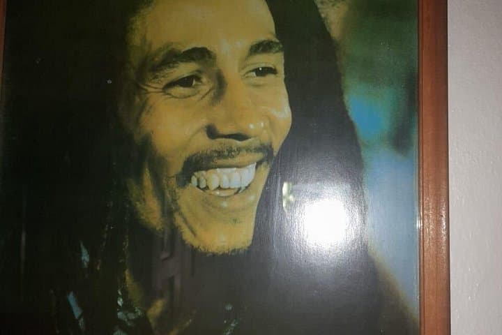 Bob Marley Nine Mile and Dunn's River Falls Private Tour from Montego Bay photo 4