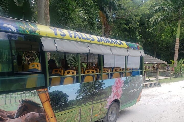 Pelican Bar & YS Falls Private Day Trip from Montego Bay photo 4