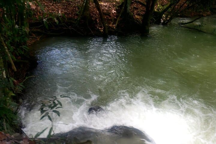 Pelican Bar & YS Falls Private Day Trip from Montego Bay photo 5