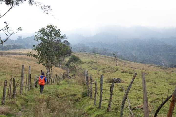 Hike La Chorrera: 4-Hour Waterfall Trek from Bogotá to a 590m Andean Fall photo 4