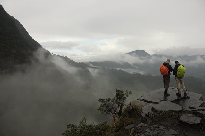 Chicaque Cloud Forest Hike: 4-Hour Birding Trek Near Bogotá photo 2