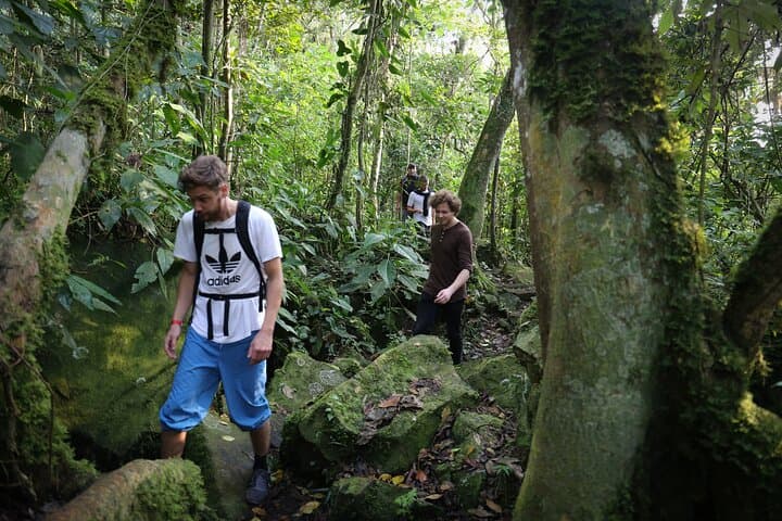 Chicaque Cloud Forest Hike: 4-Hour Birding Trek Near Bogotá photo 6