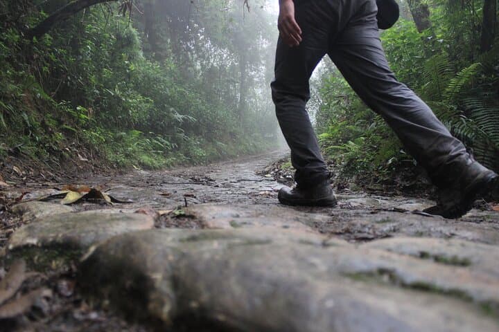 Chicaque Cloud Forest Hike: 4-Hour Birding Trek Near Bogotá photo 4