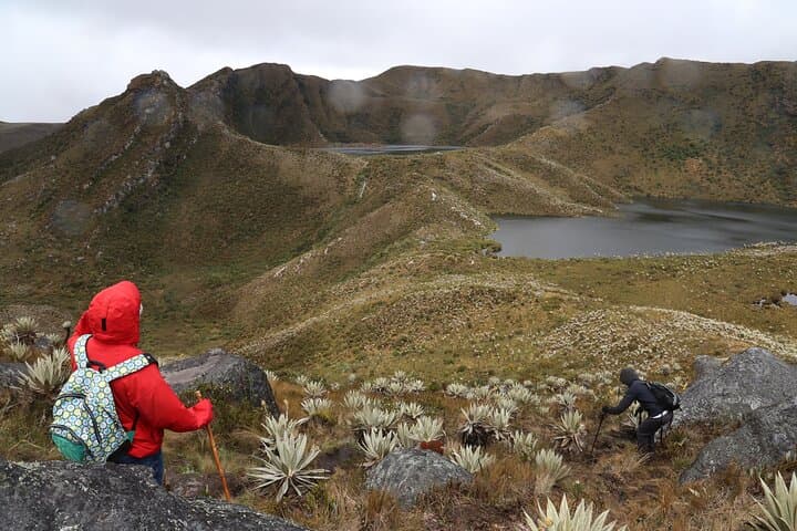 Chingaza Siecha & Cuchillas Lakes Trek: High-Páramo Day Hike from Bogotá