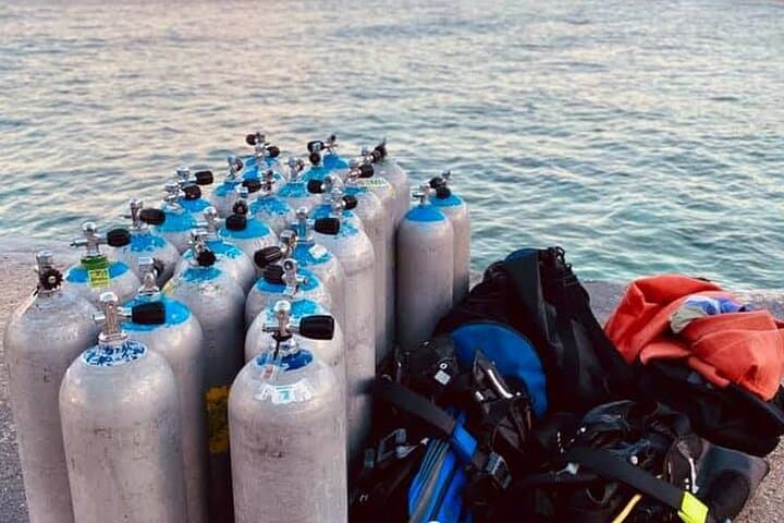 Discover Scuba Diving in Cozumel — Small-Group PADI Intro for Beginners photo 5
