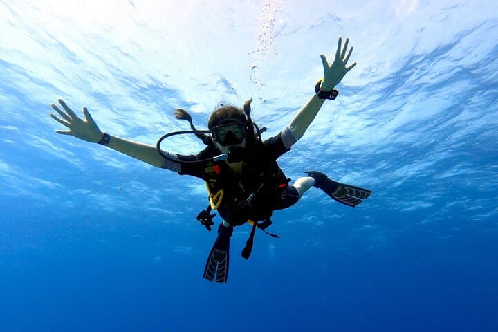 Discover Scuba Diving in Cozumel — Small-Group PADI Intro for Beginners photo 6