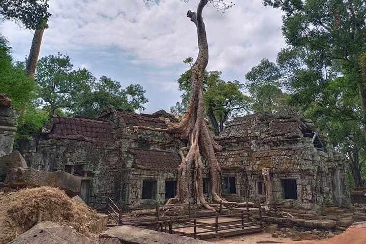 Private One-Day Angkor Temples Tour — Angkor Wat, Ta Prohm & Bayon photo 6