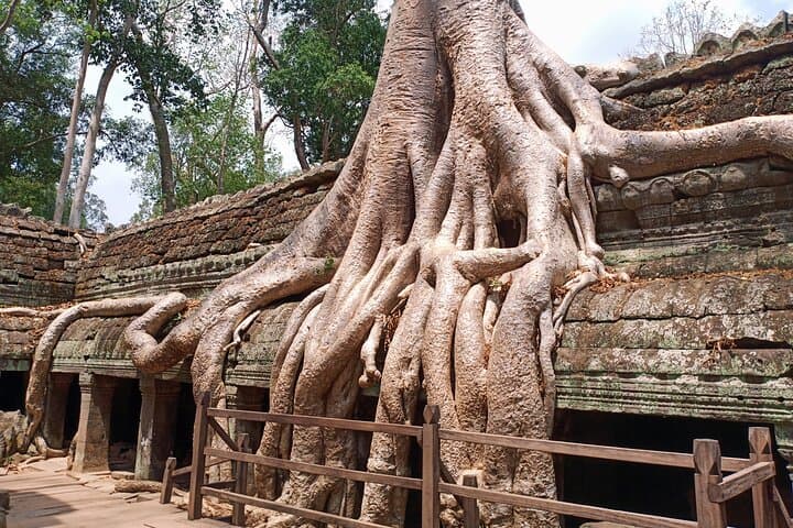 Private One-Day Angkor Temples Tour — Angkor Wat, Ta Prohm & Bayon photo 3