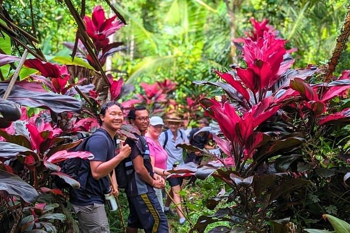 Kaura Waterfall Hike to Jagasatru — Manggis Jungle Trek with Arak Distillery Visit photo 3