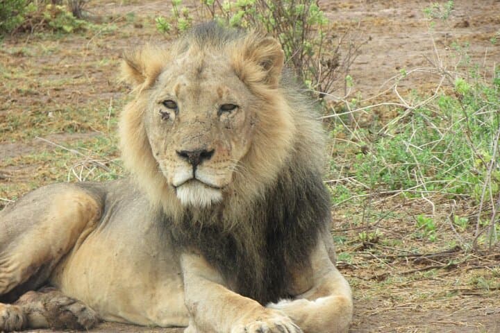 2-Day Taita Hills Salt Lick Private Safari from Mombasa photo 2