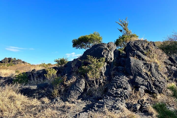 Trekking Mount Mihara: Volcanic Hike on Izu Oshima Island photo 5