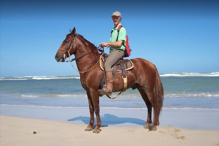 Beach Horseback Riding in Punta Cana: Uvero Alto Ranch Adventure
