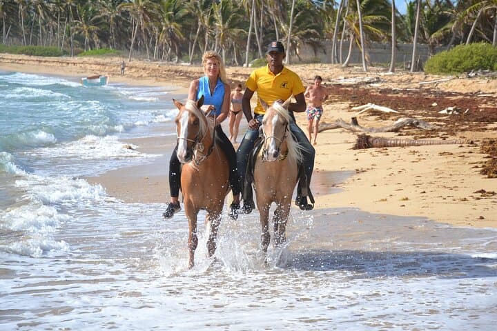 Beach Horseback Riding in Punta Cana: Uvero Alto Ranch Adventure photo 4