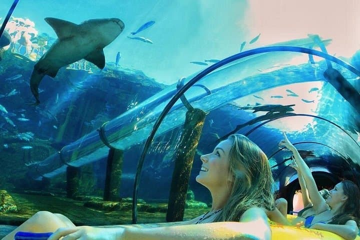 Siam Park Tenerife: Essential Guide to the Island's Top Waterpark Experience photo 3