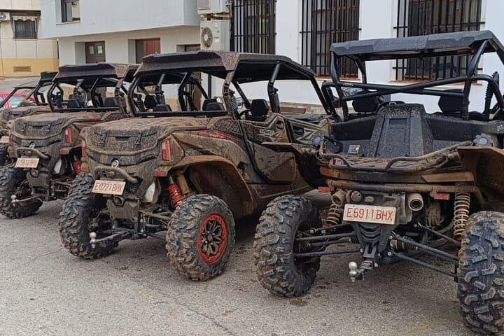 Mallorca Buggy Tour from Cala Bona to Capdepera Lighthouse via Artà photo 5