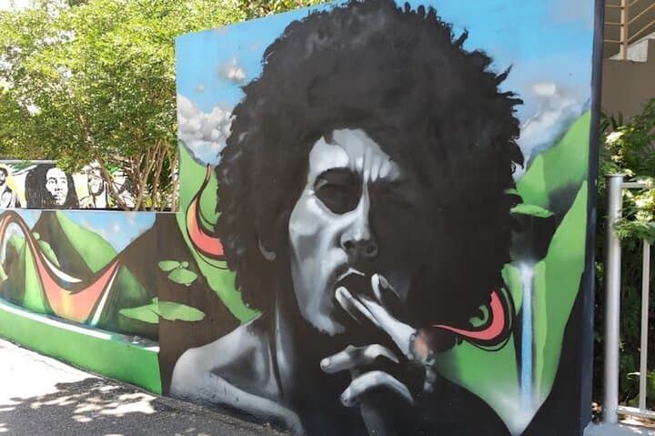 Private Bob Marley Studios Day Trip from Montego Bay to Kingston