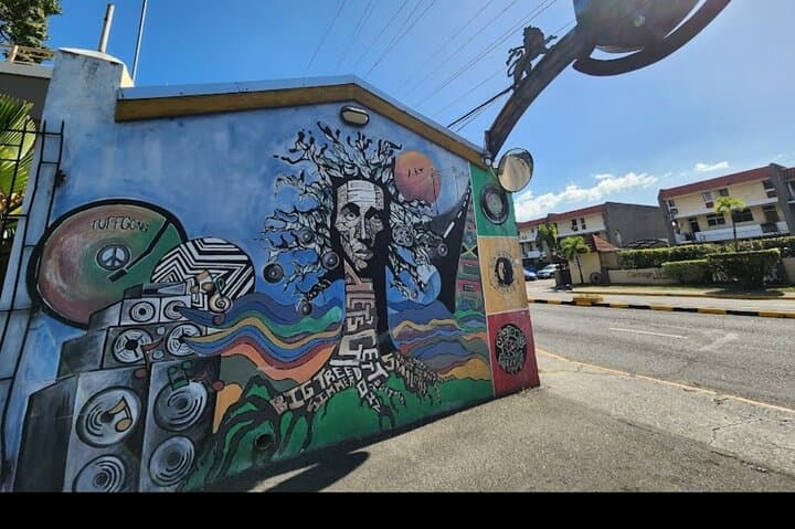 Private Bob Marley Studios Day Trip from Montego Bay to Kingston photo 5