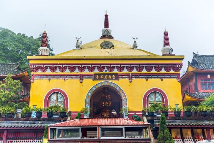 Full-Day Leshan Giant Buddha & Mount Emei Private Tour from Chengdu photo 3