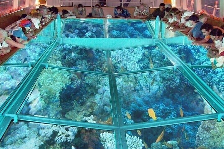 Glass-Bottom Boat in Sharm El Sheikh: Red Sea Reef Cruise