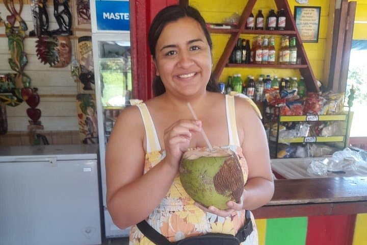 Private Blue Hole Secret Falls and Ocho Rios Shopping from Montego Bay photo 3