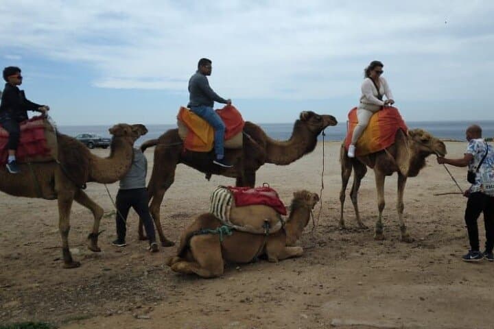 Camel Ride Along Tangier's Atlantic Beach — Cape Spartel & Heracles' Cave photo 4