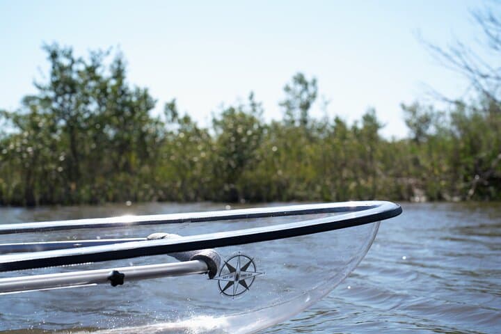 Clear Kayak Eco Tour in Flagler County: Glass-Bottom Paddle Through Mangrove Estuary photo 1