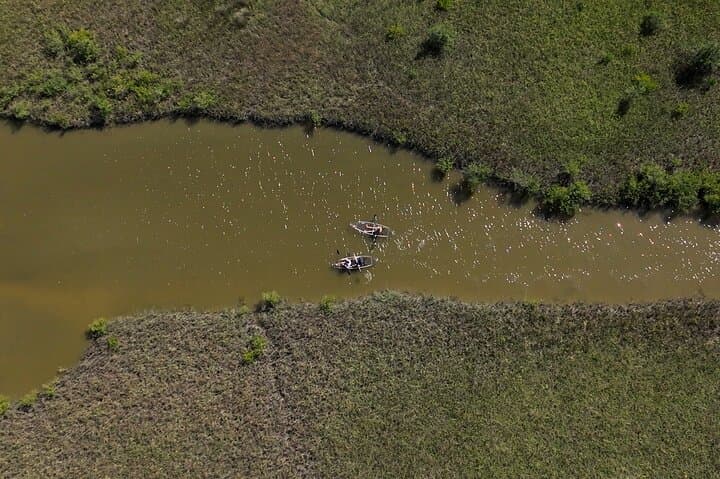 Clear Kayak Eco Tour in Flagler County: Glass-Bottom Paddle Through Mangrove Estuary photo 2
