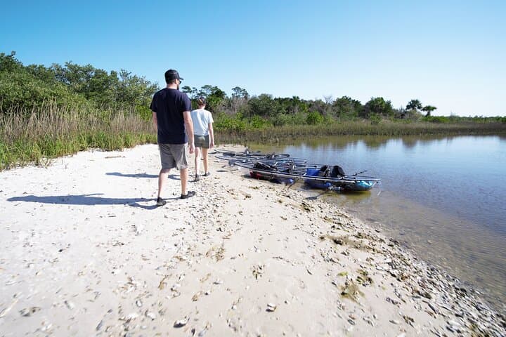 Clear Kayak Eco Tour in Flagler County: Glass-Bottom Paddle Through Mangrove Estuary photo 4