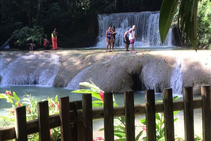 Montego Bay to YS Falls & Appleton Estate: Private Rum, Waterfalls, and Valley Views photo 2