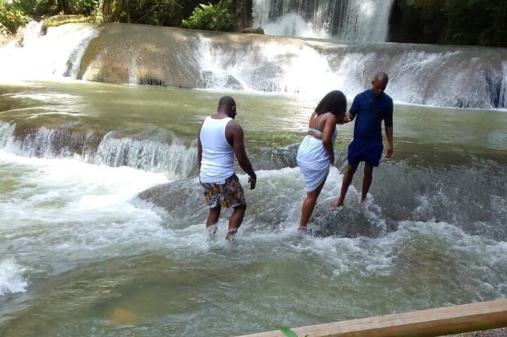Montego Bay to YS Falls & Appleton Estate: Private Rum, Waterfalls, and Valley Views photo 3