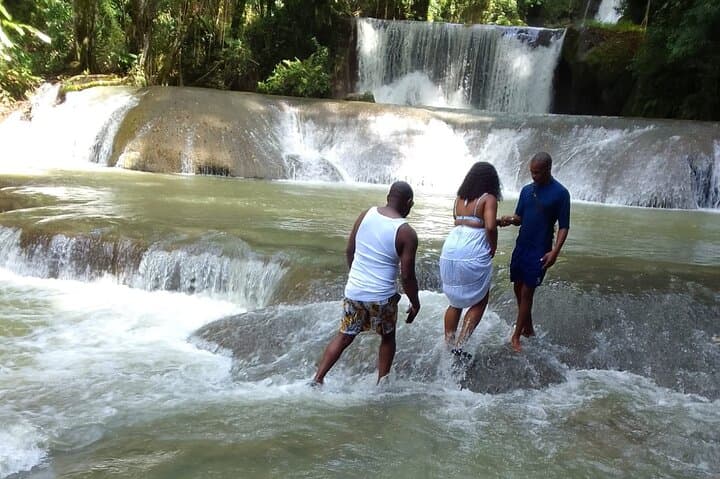 Montego Bay to YS Falls & Appleton Estate: Private Rum, Waterfalls, and Valley Views photo 4