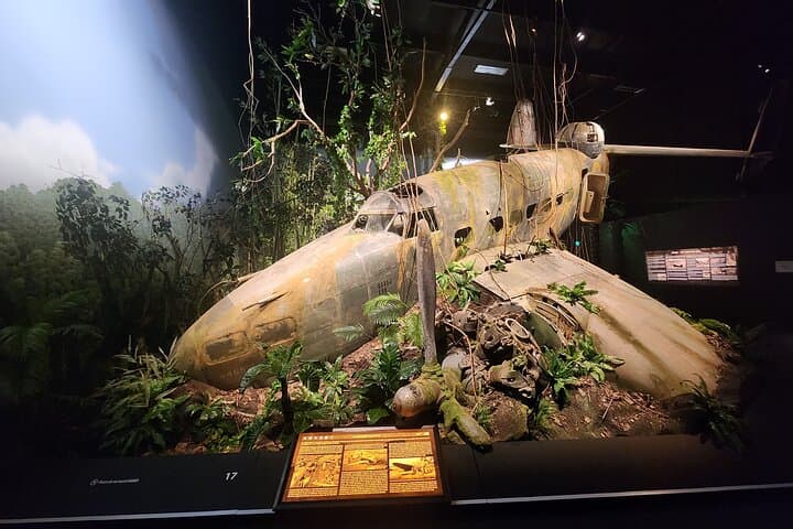 Omaka Aviation Museum and Marlborough Wine Tasting — Private Day Tour from Blenheim photo 5