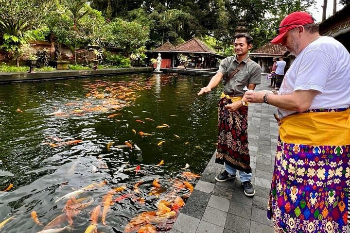 Ubud Private Tour: Monkey Forest, Tegalalang Rice Terraces, Tirta Empul & Tegenungan Waterfall