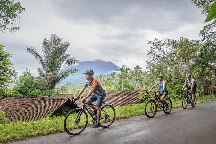 Bike to Virgin Beach: Kaura Ridgeline Cycle, Bee Farm Visit & Beach Lunch in Bali photo 1